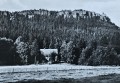 20260929_110234.jpg