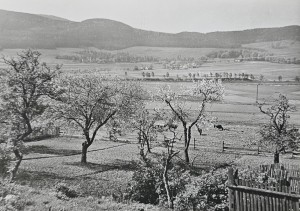 Pocztówka - Boguszów - Krajobraz - fot. S. Arczyński