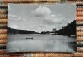 20170613_151957.jpg
