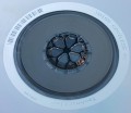 20170809_084553.jpg