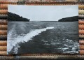 20170913_082435.jpg