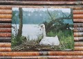 20170205_140236.jpg