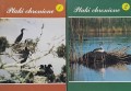 20170205_135903.jpg