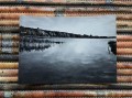 20170913_082035.jpg