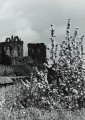 20170912_140952.jpg