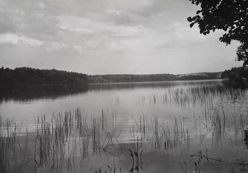 20171005_104510.jpg