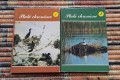 20170205_135905.jpg