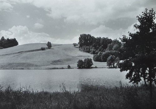 20170613_151857.jpg
