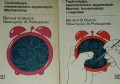 20170106_110434.jpg