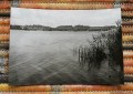 20170916_091645.jpg