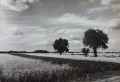 20200717_154142.jpg
