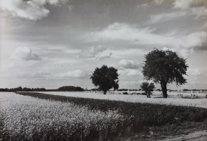 Pocztówka Parczew - Krajobraz okolic - fot. J. Korpal