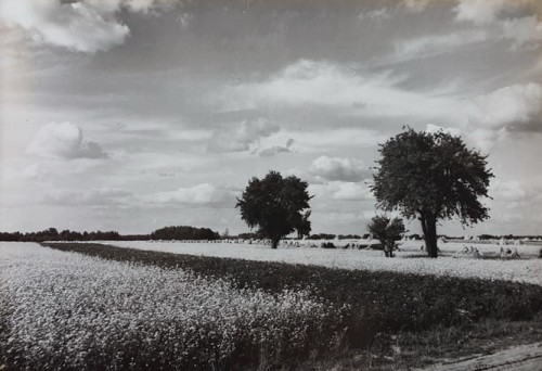20200717_154142.jpg