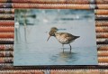 20170205_140640.jpg