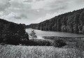 20170613_151522.jpg