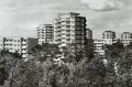 20170916_092144.jpg