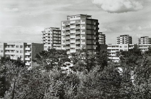 20170916_092144.jpg