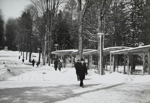 Pocztówka Polanica Zdrój - Park Zdrojowy -  fot. J. Siudecki
