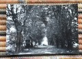 20170913_082544.jpg