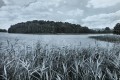 20170913_082333.jpg