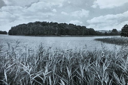 20170913_082333.jpg